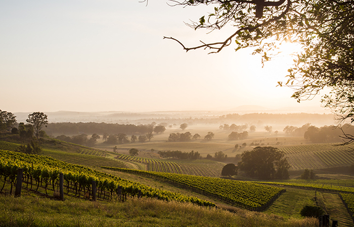 wine growing region in australia